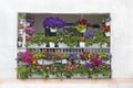 How to create a beautiful flower garden in the balcony Royalty Free Stock Photo