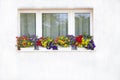 How to create a beautiful flower garden to window. Here is an attractive combination Royalty Free Stock Photo