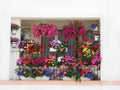 How to create a beautiful flower garden in the balcony Royalty Free Stock Photo