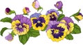 Flower arrangement of pansies isolated on a white background. Vector illustration