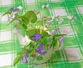 flower arrangement of purple Periwinkle and white violets in tea kettle in Spring