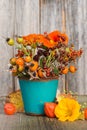 Different rose hips in a little flower pot