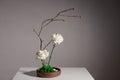 Flower arrangement of white carnation, rose Royalty Free Stock Photo