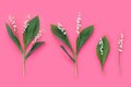 Flower arrangement of white sprigs of lily of the valley on pastel pink background. Spring nature concept