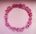 Flower arrangement. A wreath of pink roses on a pink background. Square