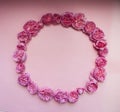 Flower arrangement. A wreath of pink roses on a pink background. Square Royalty Free Stock Photo