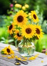 Flower arrangement with yellow sunflowers in glass vase on the garden table. Royalty Free Stock Photo