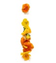 natural flower arrangements with yellow orange real fresh flowers letter I