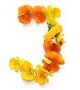 natural flower arrangements with yellow orange real fresh flowers letter J