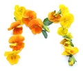 natural flower arrangements with yellow orange real fresh flowers letter M