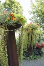 Flower arrangment with Indian cress and creeping plants in tall planter in summer season