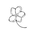 Flower art line. Sakura or Apple blossoms in vector isolated on white background. Spring flowers drawn in black and white line. Royalty Free Stock Photo