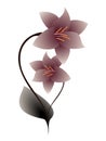 Flower background with abstract lily.