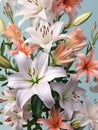 flower background with beautiful lilies Royalty Free Stock Photo