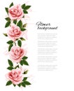 Flower background with beauty pink roses. Royalty Free Stock Photo