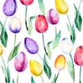 Flower background. Flower tulips over white. Floral spring Vector pattern. Tulips pattern Royalty Free Stock Photo