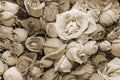 Flower background of flowers. Texture. Buds. Design. Sepia. Close up.