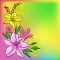Flower background, lily and mine Royalty Free Stock Photo