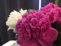 Flower background with peonies, bouquet of peonies