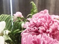 Flower background with peonies, bouquet of peonies