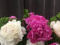 Flower background with peonies, bouquet of peonies