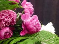 Flower background with peonies, bouquet of peonies