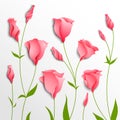 Flower background. Pink eustoma