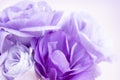 Flower Background Purple Lisianthus