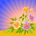 Flower background radiant, alstroemeria