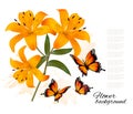 Flower Background With Three Beautiful Lilies and Butterflies. V