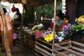 Flower, Bagan