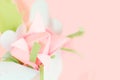 Flower banner. Close up composition of pink Origami paper tulip with green decorations in white box-heart on pink background Royalty Free Stock Photo