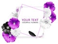 Flower banner. Pink, white black flowers on the white background. Place for text. Mallow, Rudbeckia flowers. Fashion background.