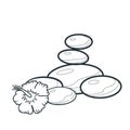 Flower and basalt stone. Vector illustration decorative background design Royalty Free Stock Photo