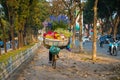 Flower basket on bike of street vendor on Hanoi street. Yellow leaf trees. Autumn or winter season