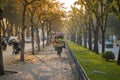 Flower basket on bike of street vendor on Hanoi street. Yellow leaf trees. Autumn or winter season