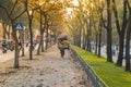 Flower basket on bike of street vendor on Hanoi street. Yellow leaf trees. Autumn or winter season