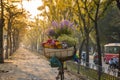 Flower basket on bike of street vendor on Hanoi street. Yellow leaf trees. Autumn or winter season