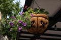 Flower Basket with Colorful Flowers Hanging from an Outdoor Dining Shed in New York City Royalty Free Stock Photo