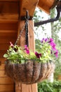 Flower basket hang close up photo Royalty Free Stock Photo