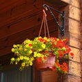 Flower basket hang on country house porch Royalty Free Stock Photo