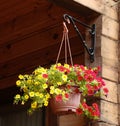 Flower basket hang on country house porch Royalty Free Stock Photo