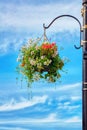 Flower basket hanging from a street lamp post against a blue sky background Royalty Free Stock Photo