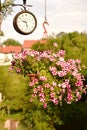 Flower basket with red and white flowers and brown vintage wall mounted clock