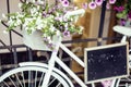 Flower in basket of vintage bicycle on vintage wooden house wall, summer street cafe Royalty Free Stock Photo