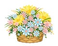 Flower in basket