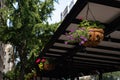 Flower Baskets with Colorful Flowers Hanging from an Outdoor Dining Shed in New York City Royalty Free Stock Photo