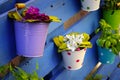 Flower Baskets Royalty Free Stock Photo