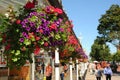 Flower baskets on main street Southport floral town Merseyside.