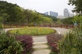 Flower bed ,alley and plants arranged in the spring park